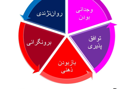 کاربرد تست نئو