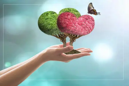 نوع دوستی چیست؟
