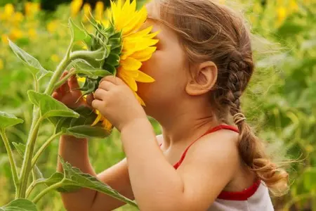 هوش طبیعت گرا